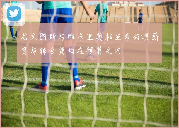 尤文图斯与维卡里奥相互看好其薪资与转会费均在预算之内